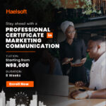 HOW HAELSOFT DIGITAL HAS BEEN CONTRIBUTING TO THE GROWTH OF NIGERIANS THROUGH DIGITAL MARKETING