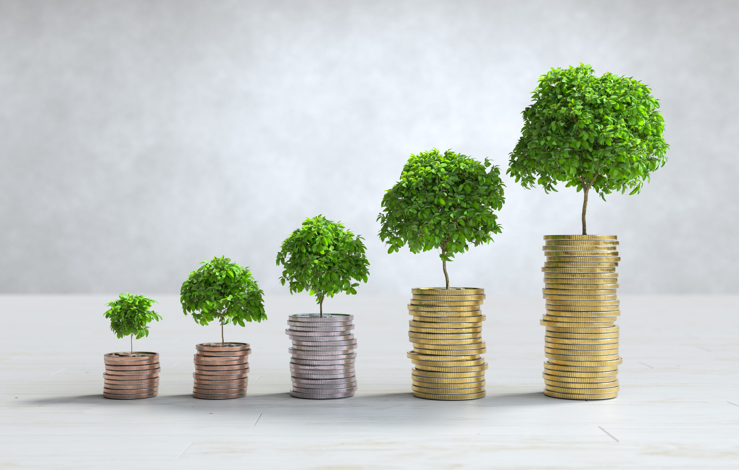 Why International Organizations Are Concerned About Green Finance