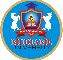 how-to-apply-for-mudiame-foundation-scholarship-award